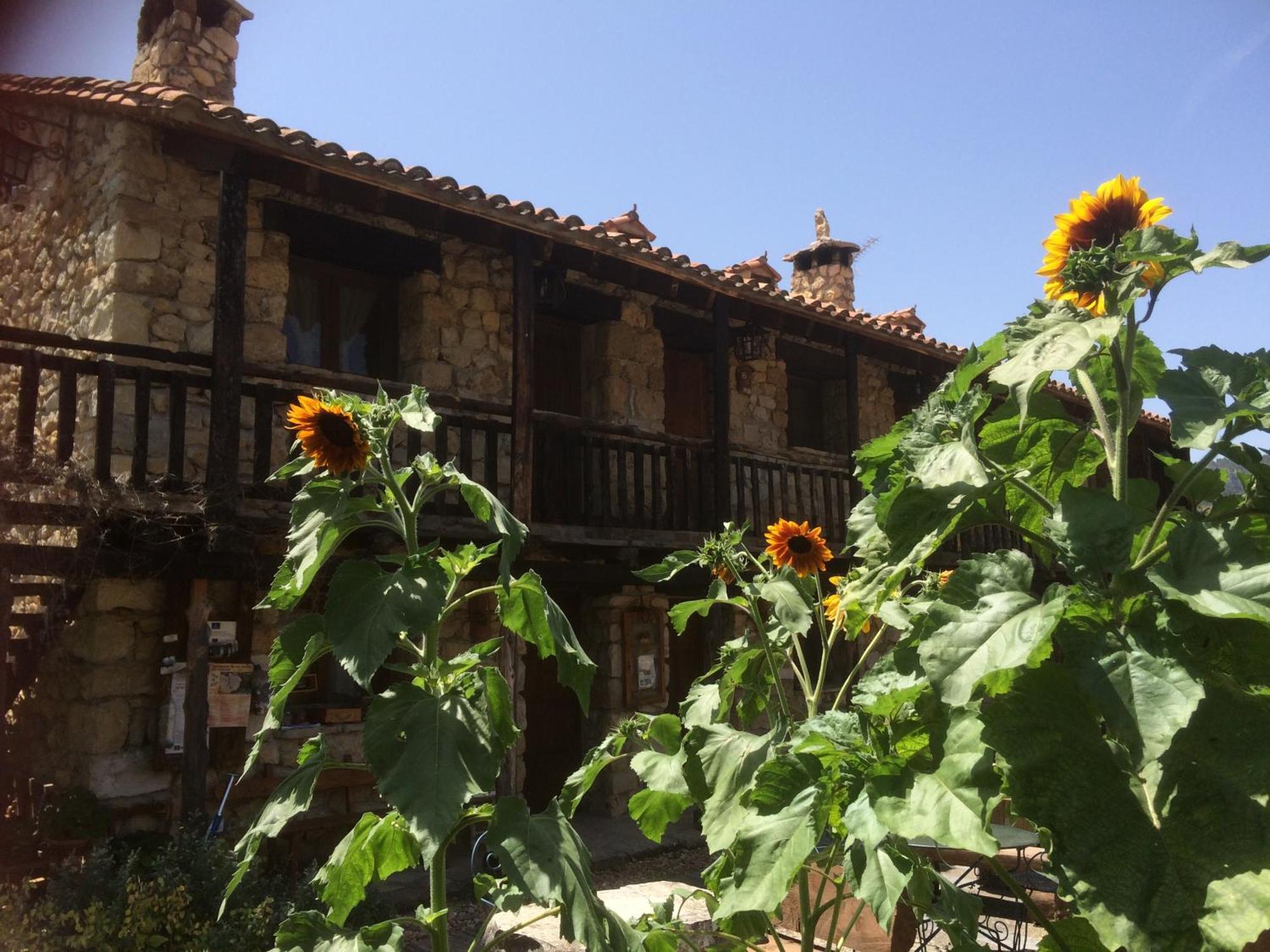 Casas Rurales Chon Alto Tajo Peralejos de las Truchas Exterior foto